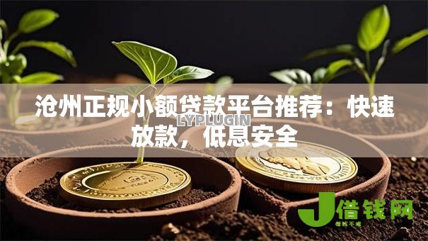 沧州正规小额贷款平台推荐：快速放款，低息安全