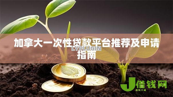 加拿大一次性贷款平台推荐及申请指南 加拿大一次性贷款平台推荐及申请指南