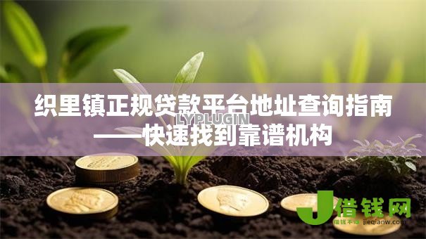 织里镇正规贷款平台地址查询指南——快速找到靠谱机构