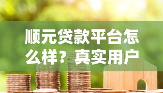 顺元贷款平台怎么样？真实用户评价与使用指南