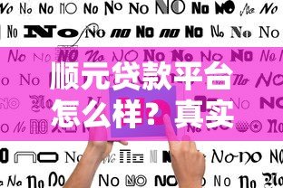 顺元贷款平台怎么样？真实用户评价与使用指南