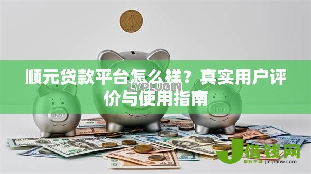 顺元贷款平台怎么样？真实用户评价与使用指南