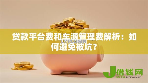 贷款平台费和车源管理费解析：如何避免被坑？