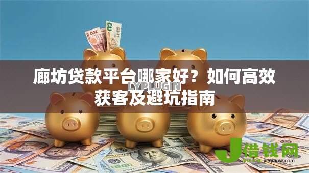 廊坊贷款平台哪家好？如何高效获客及避坑指南