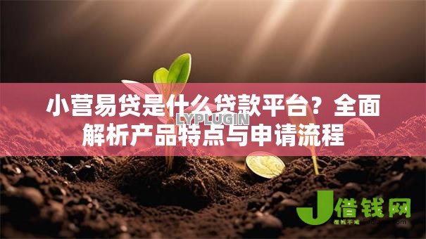 小营易贷是什么贷款平台?全面解析产品特点与申请流程 小营易贷是什么贷款平台?全面解析产品特点与申请流程