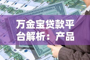 万金宝贷款平台解析：产品特点、申请流程及用户评价