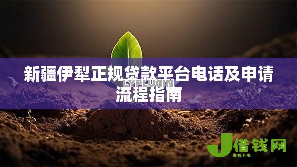 新疆伊犁正规贷款平台电话及申请流程指南 新疆伊犁正规贷款平台电话及申请流程指南