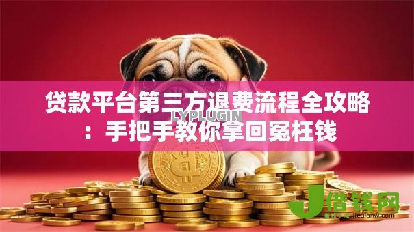 贷款平台第三方退费流程全攻略:手把手教你拿回冤枉钱 贷款平台第三方退费流程全攻略:手把手教你拿回冤枉钱