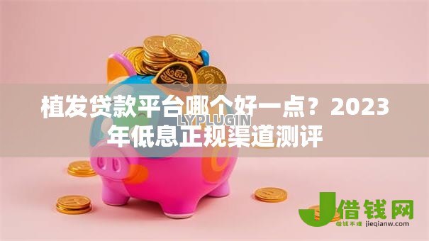 植发贷款平台哪个好一点？2023年低息正规渠道测评