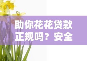 助你花花贷款正规吗？安全靠谱性深度解析
