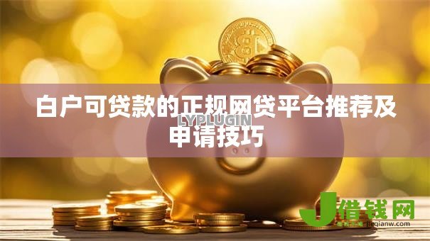 白户可贷款的正规网贷平台推荐及申请技巧 白户可贷款的正规网贷平台推荐及申请技巧
