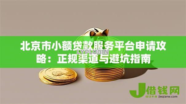 北京市小额贷款服务平台申请攻略：正规渠道与避坑指南