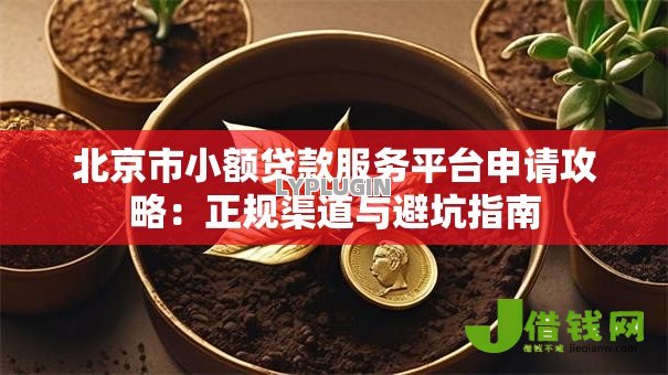 北京市小额贷款服务平台申请攻略：正规渠道与避坑指南