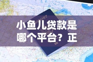 小鱼儿贷款是哪个平台？正规资质、申请流程及用户评价全解析
