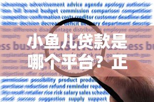 小鱼儿贷款是哪个平台？正规资质、申请流程及用户评价全解析