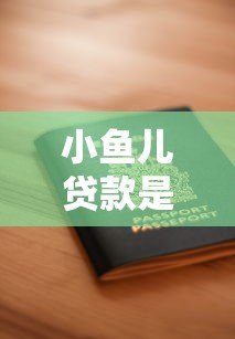 小鱼儿贷款是哪个平台？正规资质、申请流程及用户评价全解析