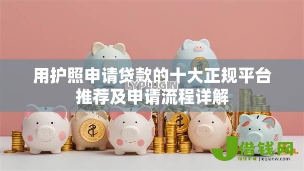 用护照申请贷款的十大正规平台推荐及申请流程详解