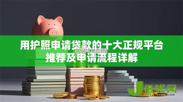 用护照申请贷款的十大正规平台推荐及申请流程详解