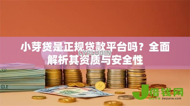 小芽贷是正规贷款平台吗？全面解析其资质与安全性