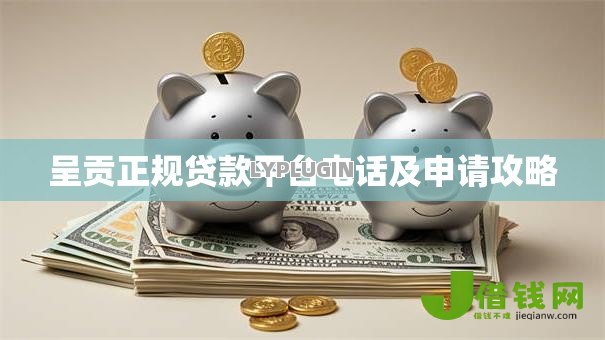 呈贡正规贷款平台电话及申请攻略