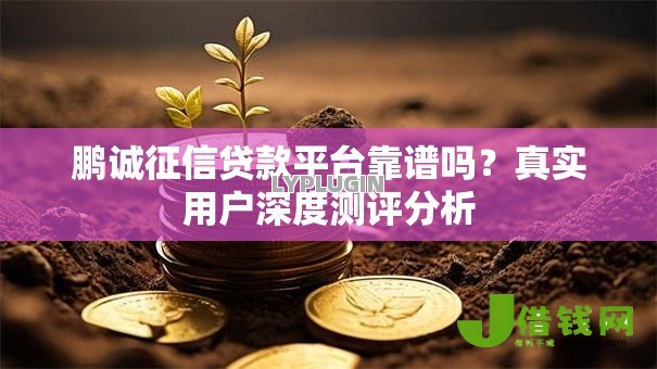 鹏诚征信贷款平台靠谱吗？真实用户深度测评分析