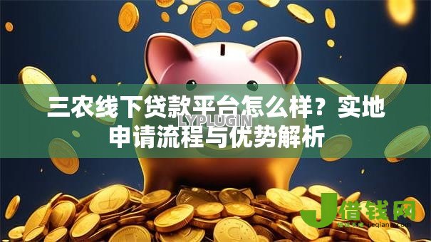 三农线下贷款平台怎么样?实地申请流程与优势解析 三农线下贷款平台怎么样?实地申请流程与优势解析