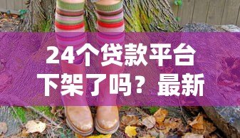 24个贷款平台下架了吗?最新监管动态解析 24个贷款平台下架了吗?最新监管动态解析