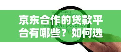 京东合作的贷款平台有哪些？如何选择最靠谱的贷款方案