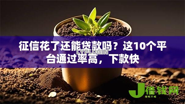 征信花了还能贷款吗?这10个平台通过率高,下款快 征信花了还能贷款吗?这10个平台通过率高,下款快