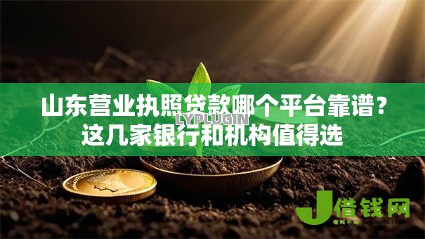 山东营业执照贷款哪个平台靠谱？这几家银行和机构值得选