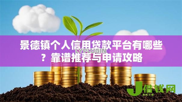 景德镇个人信用贷款平台有哪些？靠谱推荐与申请攻略