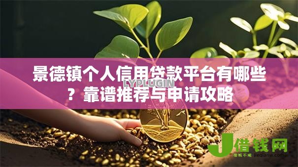 景德镇个人信用贷款平台有哪些？靠谱推荐与申请攻略