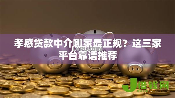 孝感贷款中介哪家最正规？这三家平台靠谱推荐