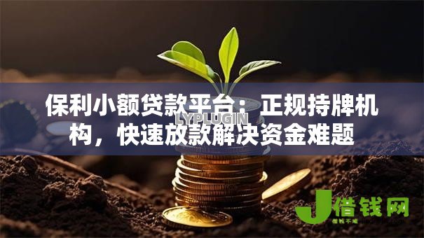 保利小额贷款平台:正规持牌机构,快速放款解决资金难题 保利小额贷款平台:正规持牌机构,快速放款解决资金难题