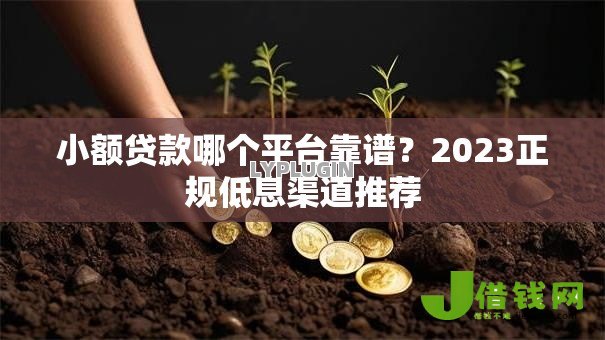 小额贷款哪个平台靠谱？2023正规低息渠道推荐
