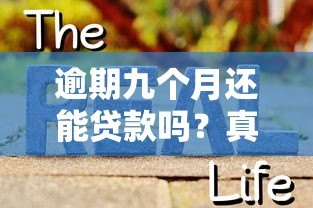 逾期九个月还能贷款吗？真实平台分析与应对策略