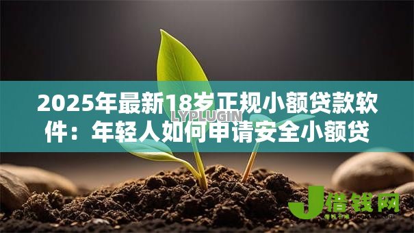 2025年最新18岁正规小额贷款软件：年轻人如何申请安全小额贷款
