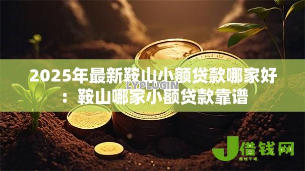 2025年最新鞍山小额贷款哪家好:鞍山哪家小额贷款靠谱 2025年最新鞍山小额贷款哪家好:鞍山哪家小额贷款靠谱
