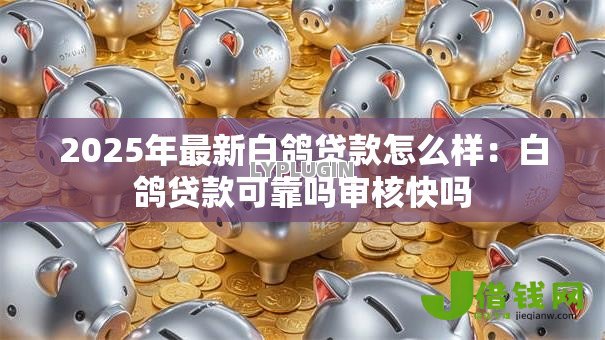 2025年最新白鸽贷款怎么样：白鸽贷款可靠吗审核快吗