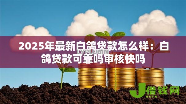 2025年最新白鸽贷款怎么样：白鸽贷款可靠吗审核快吗