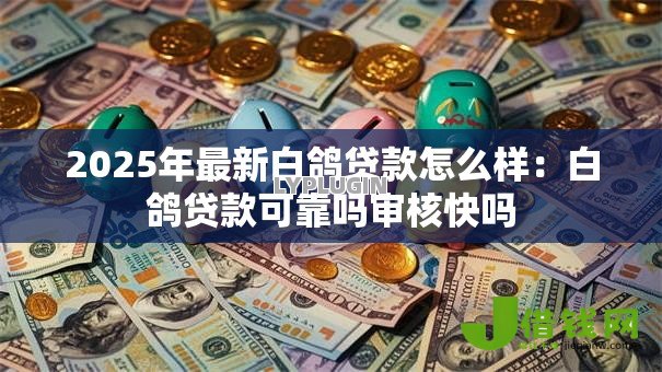 2025年最新白鸽贷款怎么样：白鸽贷款可靠吗审核快吗