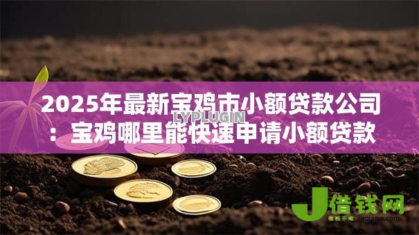2025年最新宝鸡市小额贷款公司:宝鸡哪里能快速申请小额贷款 2025年最新宝鸡市小额贷款公司:宝鸡哪里能快速申请小额贷款