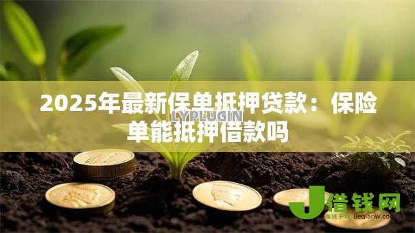 2025年最新保单抵押贷款:保险单能抵押借款吗 2025年最新保单抵押贷款:保险单能抵押借款吗