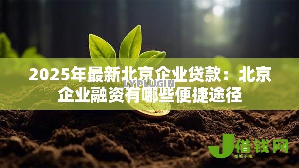 2025年最新北京企业贷款：北京企业融资有哪些便捷途径
