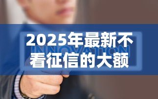 2025年最新不看征信的大额贷款：大额贷款真能不查征信吗