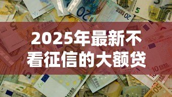 2025年最新不看征信的大额贷款：大额贷款真能不查征信吗