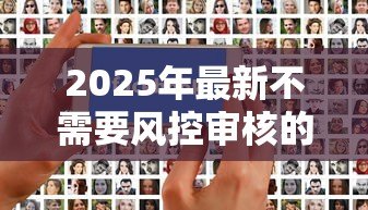 2025年最新不需要风控审核的贷款:哪些贷款可以免去信用审查 2025年最新不需要风控审核的贷款:哪些贷款可以免去信用审查