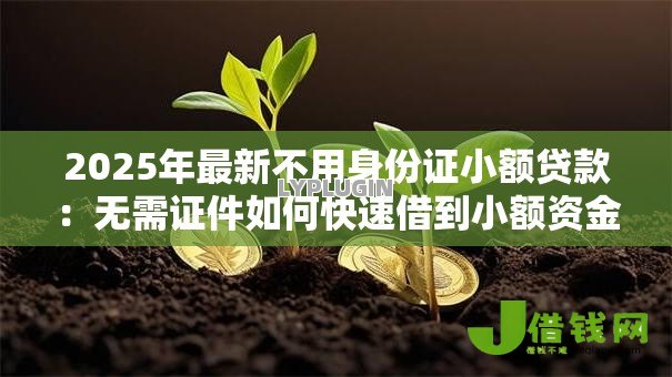 2025年最新不用身份证小额贷款：无需证件如何快速借到小额资金