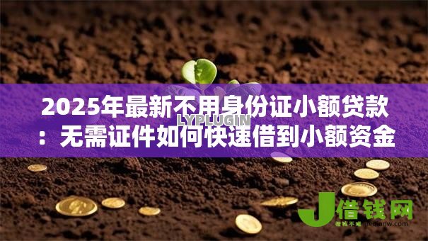 2025年最新不用身份证小额贷款：无需证件如何快速借到小额资金