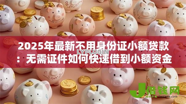 2025年最新不用身份证小额贷款：无需证件如何快速借到小额资金